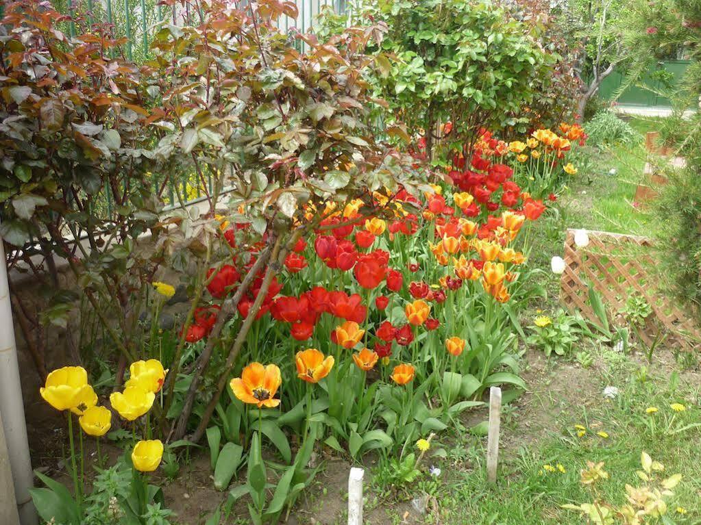 Hospedaje Flores Del Sur El Calafate Extérieur photo